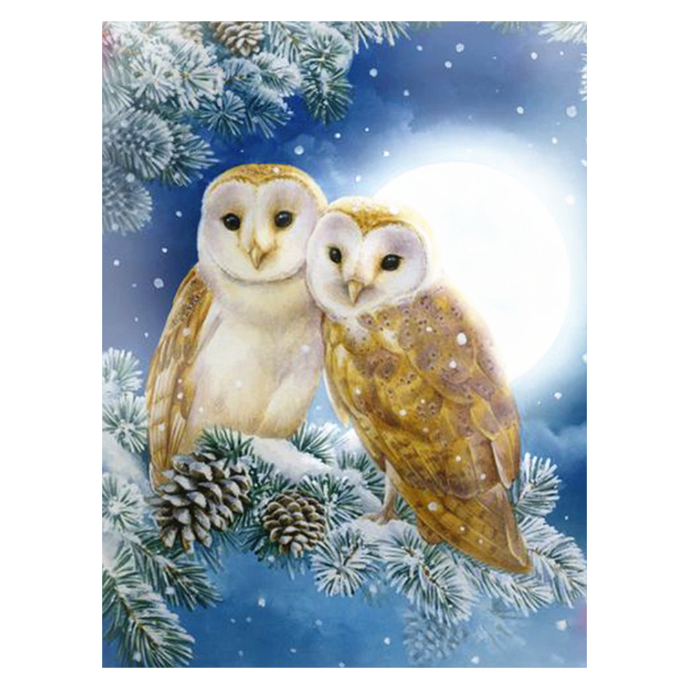 

Owl - Square Drill Diamond Painting - 40*50CM, 501 Original