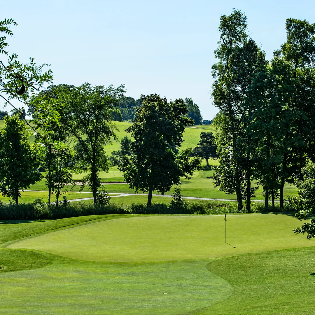 PC2.0 (Penncross) Creeping Bent Grass