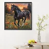 Cheval-Plein diamant rond peinture-30 * 30cm