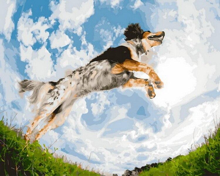 

Jumping Dog – Paint By Numbers - 40*50CM, 501 Original