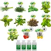 Heirloom Salad Vegetables Greens Mix Seed Pod Kit