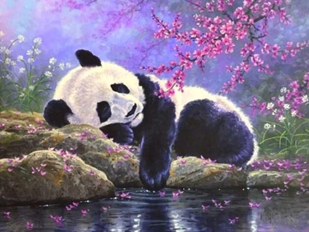 

Sleeping Panda – Paint By Numbers - 40*50CM, 501 Original