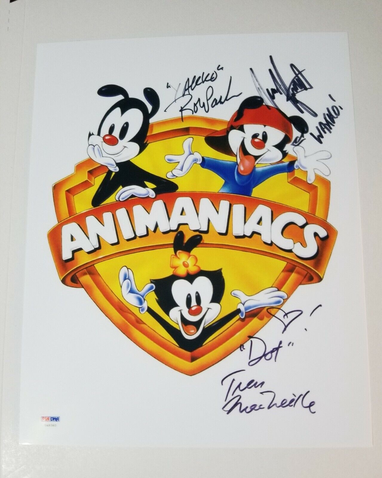 Animaniacs Signed Cast 8x10 Photo Poster painting RP -  Shipping!! 90's