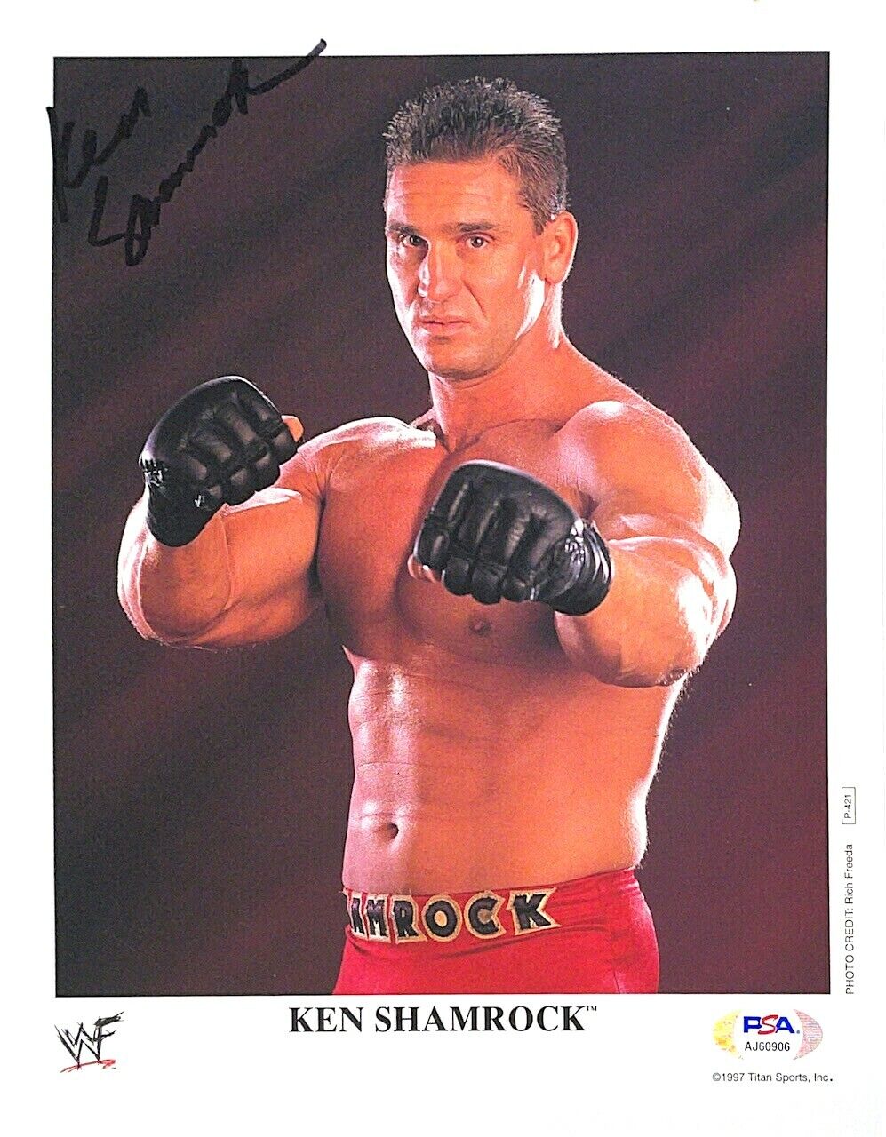 WWE KEN SHAMROCK P-421 HAND SIGNED 8X10 ORIGINAL PROMO Photo Poster painting WITH PSA DNA COA