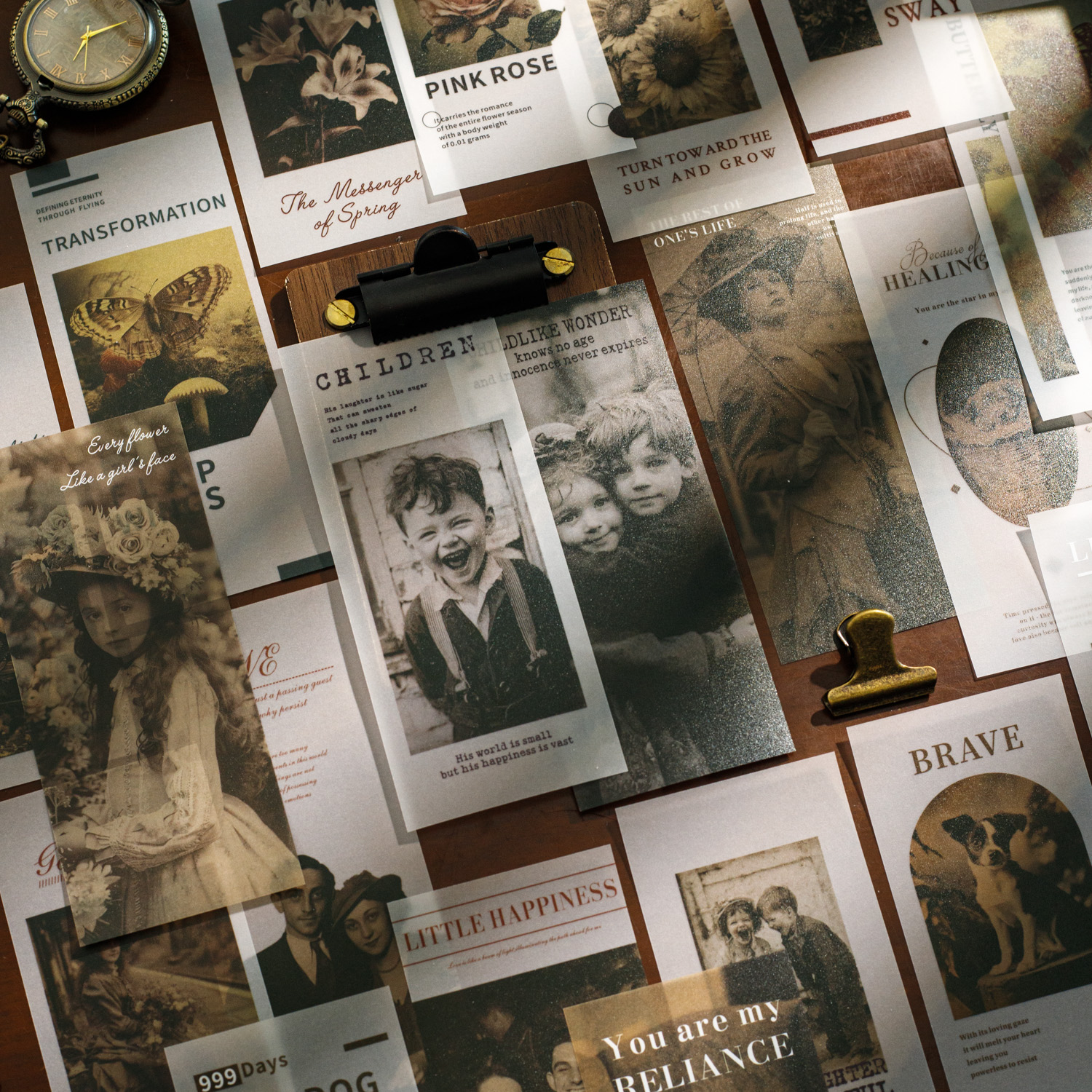 소재지 - 안개에 둘러싸인 추억 시리즈 빈티지 캐릭터 고양이