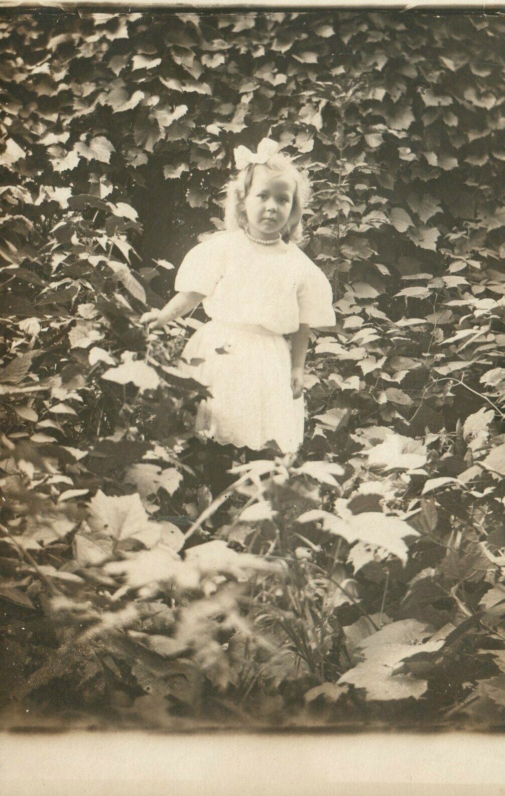 Antique Beautiful Little Girl Posing in Garden RPPC Real Photo Poster painting Postcard