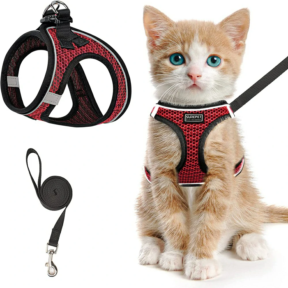 Cheetah Action Serie - Cat Harness Chic Adventures Secure Companionship