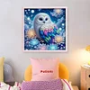 (Counted/Stamped)Flower Owl-11CT Cross Stitch 40*40cm/15.75*15.75in