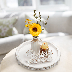 living room decor