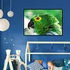 uk.everydayedeals (Limited Stock)Diamond Painting - Full Square - Eagle