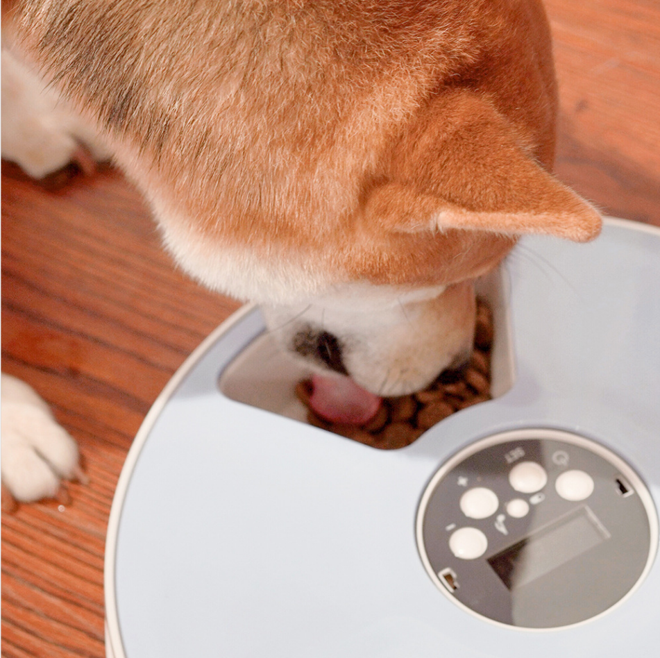 Pet Automatic Feeder with Voice Recorder