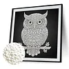 DIY Pearl Painting Owl for Home Wall Decor(25x25cm)
