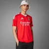 Benfica Home Soccer Jersey 2024/25