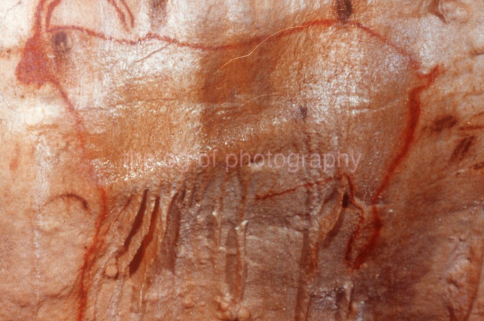 CAVES OF COUGNAC France PREHISTORIC Art 35mm FOUND SLIDE Photo Poster painting 011 T 6 D