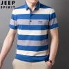 Cotton thin striped polo shirt
