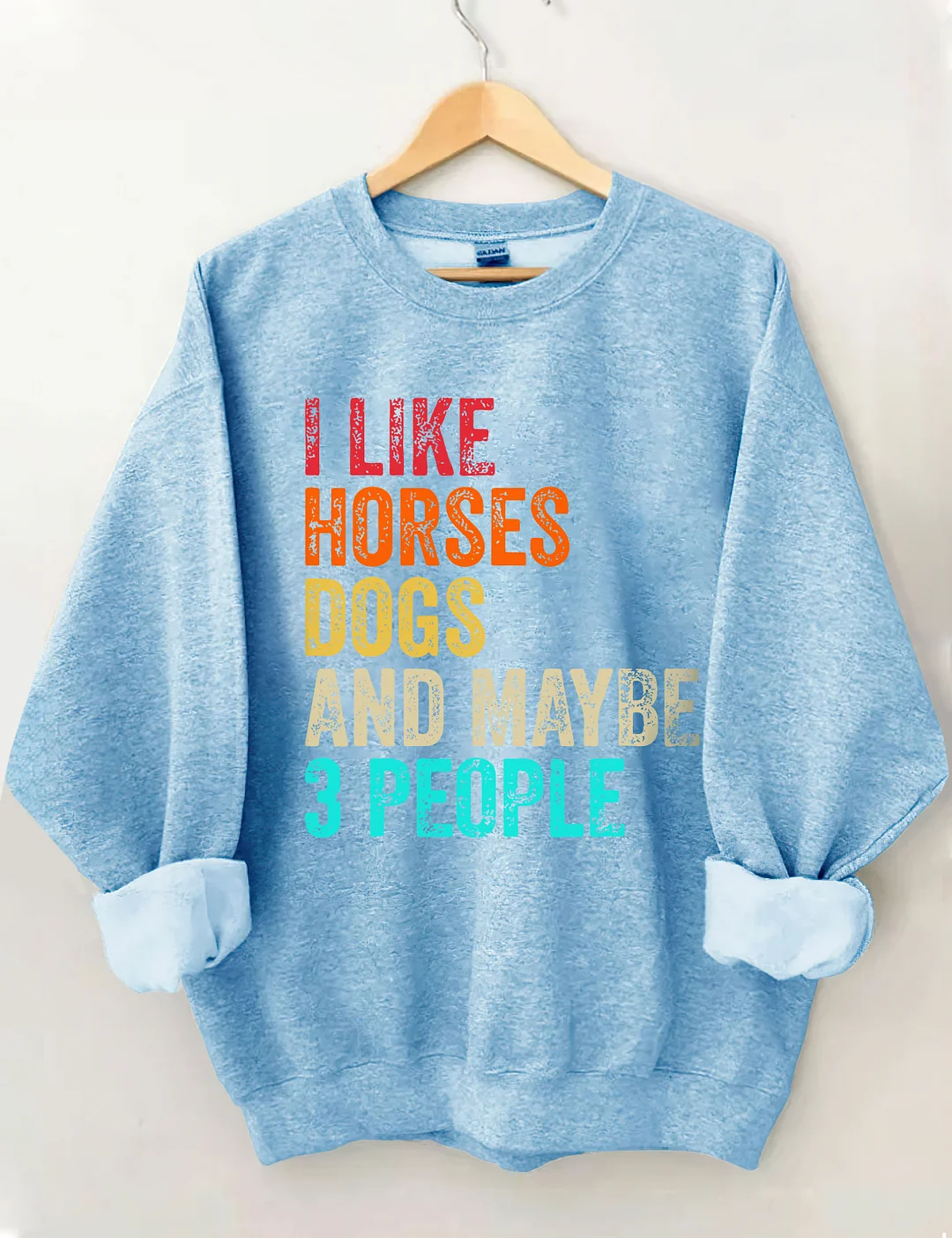 I Like Horses Dogs And Maybe 3 People Sweatshirt