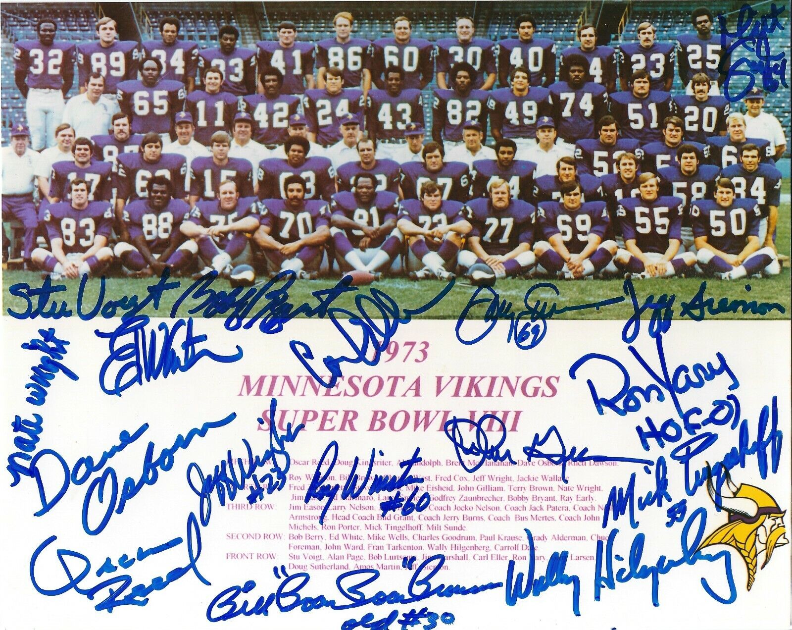 Autographed 1973 Minnesota Vikings 17 sigs, Eller, Tingelhoff, Yary 8x10 Photo Poster painting