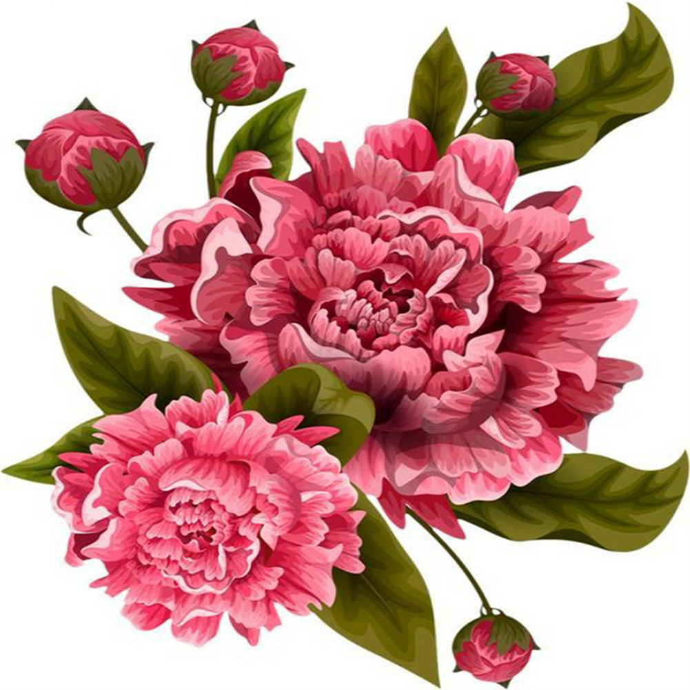 Peony Flower-Paint by Numbers-30x30cm