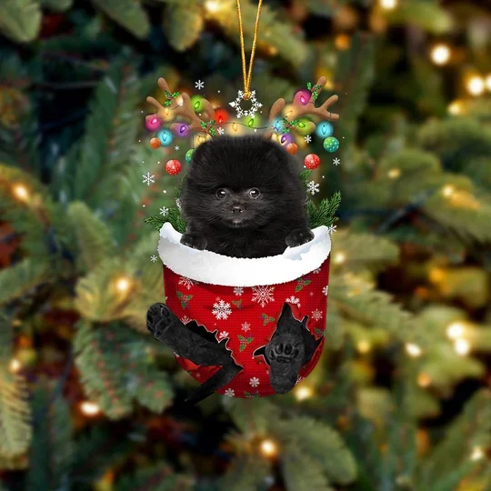 BLACK Pomeranian In Snow Pocket Christmas Ornament trabladzer