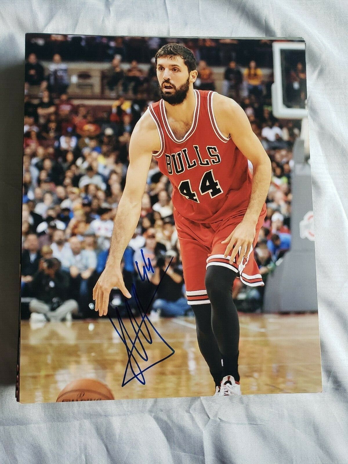 NIKOLA MIROTIC CHICAGO BULLS SIGNED AUTOGRAPHED 8x10 Photo Poster painting COA BASKETBALL 4