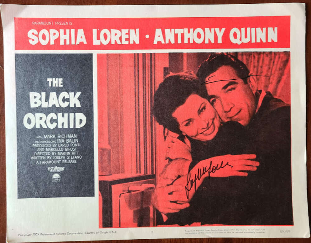 Sophia Loren JSA Coa Signed Black Orchid 11x14 Lobby Card Photo Poster painting Autograph