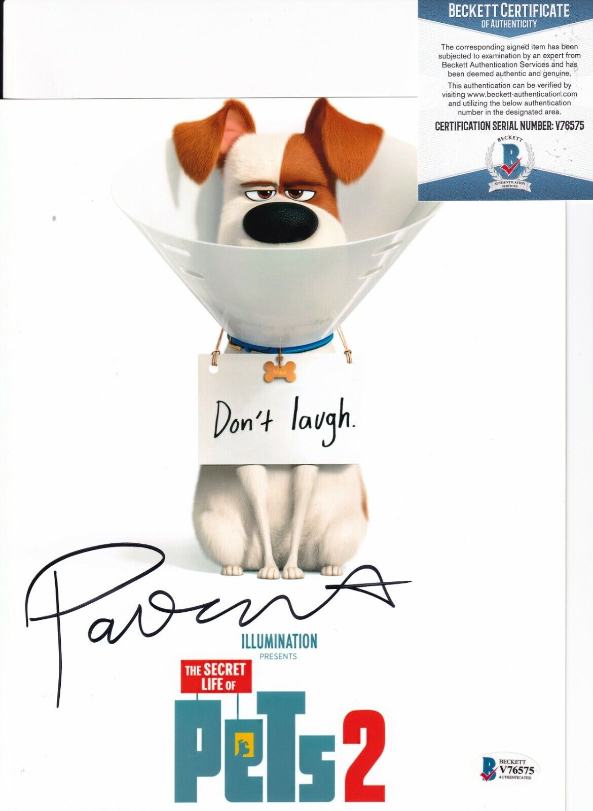 PATTON OSWALT signed (THE SECRET LIFE OF PETS 2) Movie 8X10 Photo Poster painting BECKETT V76575