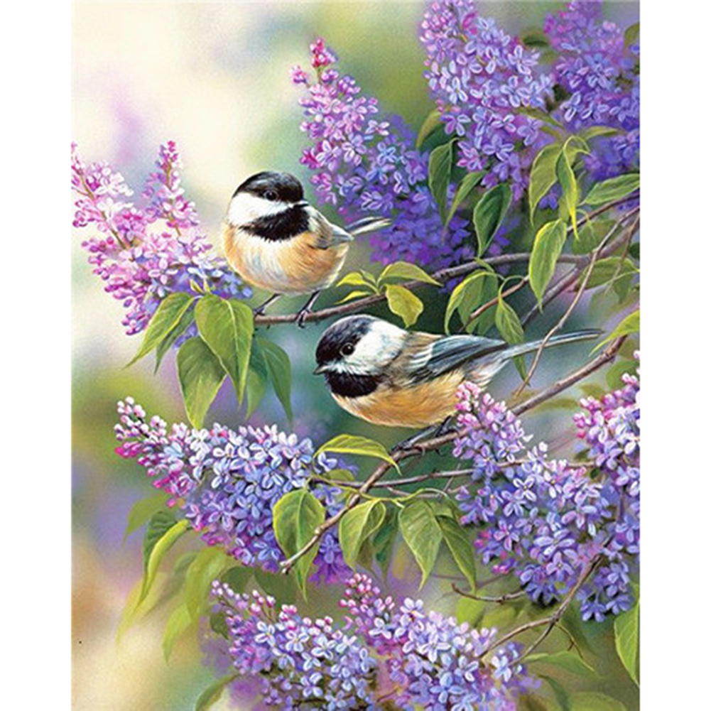 

40*50CM - Square Drill Diamond Painting - Bird, 501 Original
