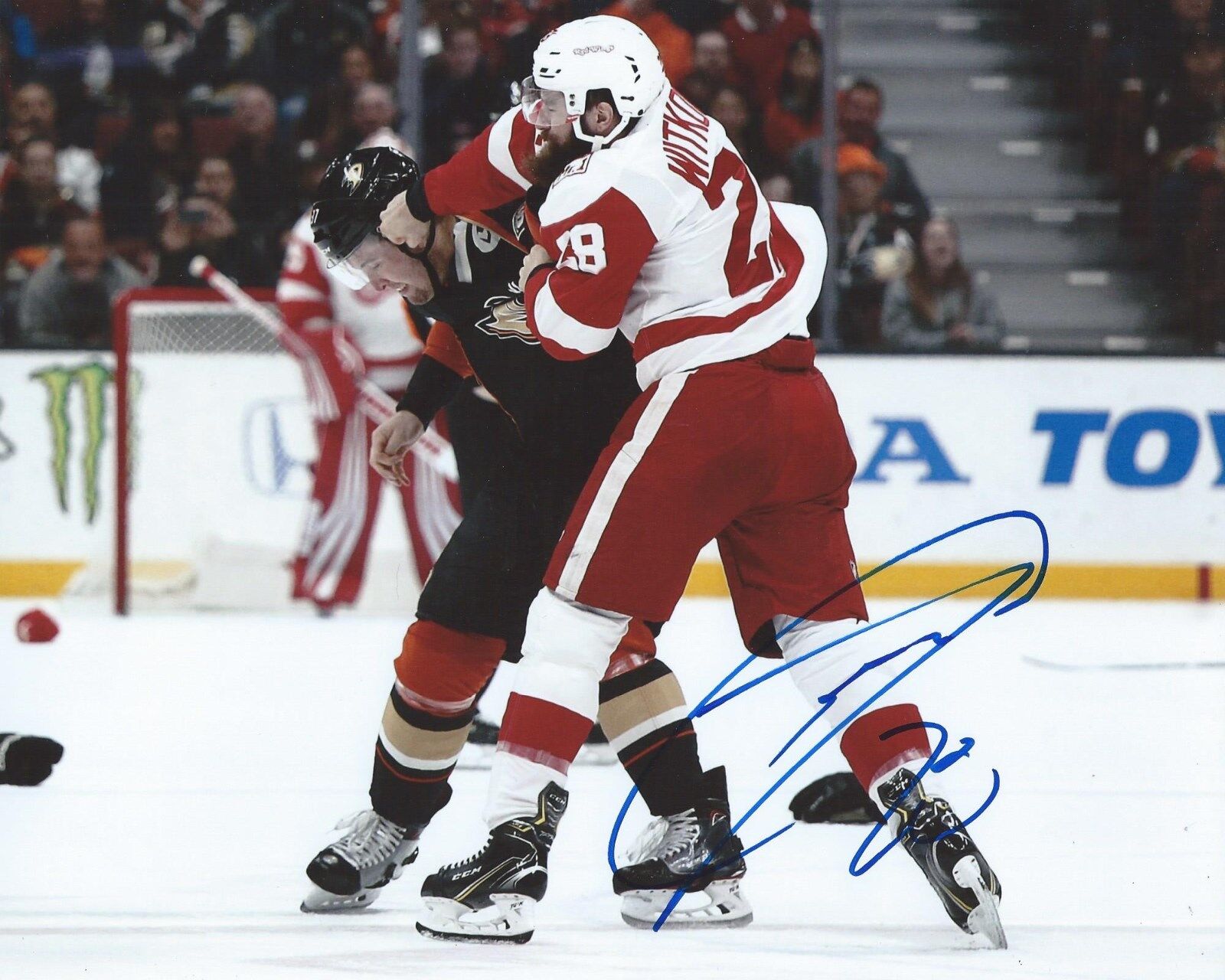 Luke Witkowski Signed 8x10 Fight Photo Poster painting Detroit Red Wings Autographed COA B