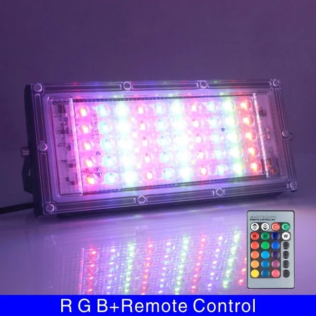 50W LED RGB Flood Light Lamp AC  Outdoor Floodlight IP65 Waterproof Reflector Led Spotlight with Remote Control
