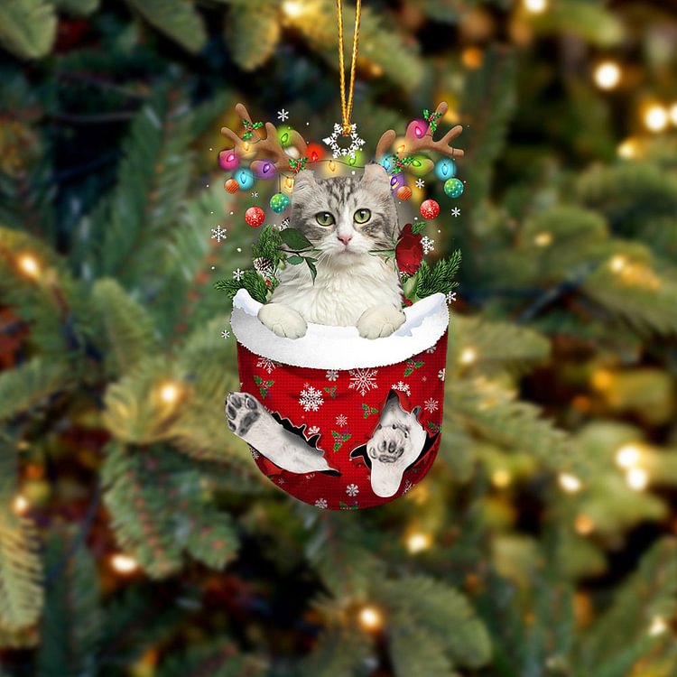 American Curl Cat In Snow Pocket Christmas Ornament