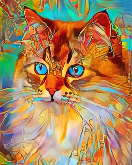 

Abstract Cat – Paint By Numbers - 40*50CM, 501 Original