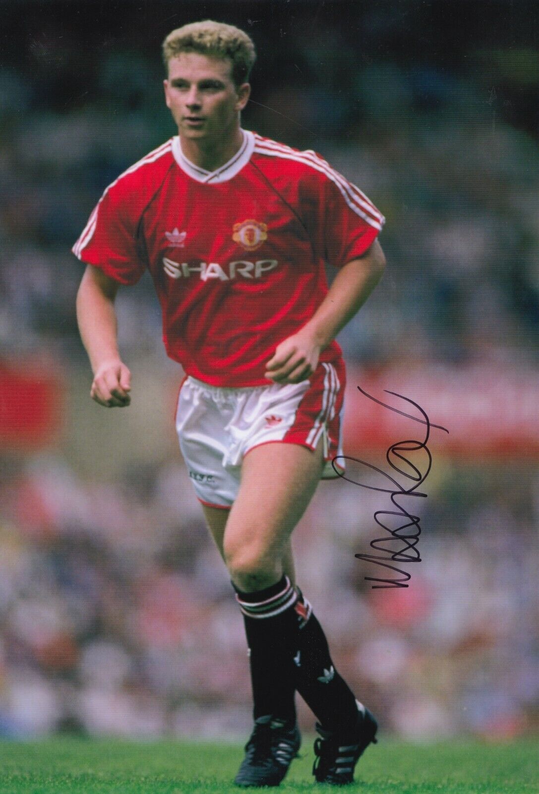 Mark Robins Hand Signed 12x8 Photo Poster painting - Manchester United Autograph 2.