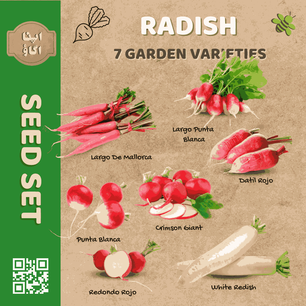 Radish Seed Set &ndash; 7 Garden Varieties (Heirloom & Non-GMO)