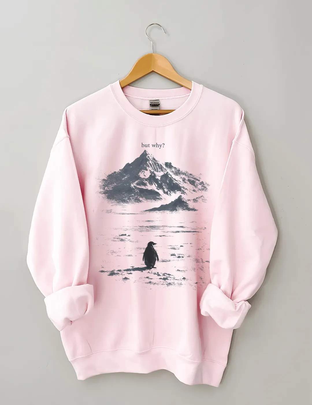 But Why Penguin Sweatshirt