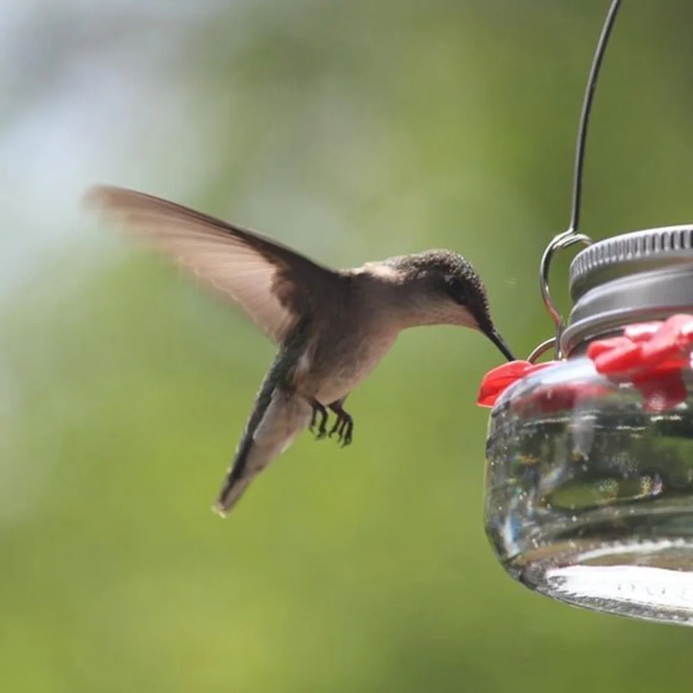 Beautiful canned hummingbird feeder with three ports