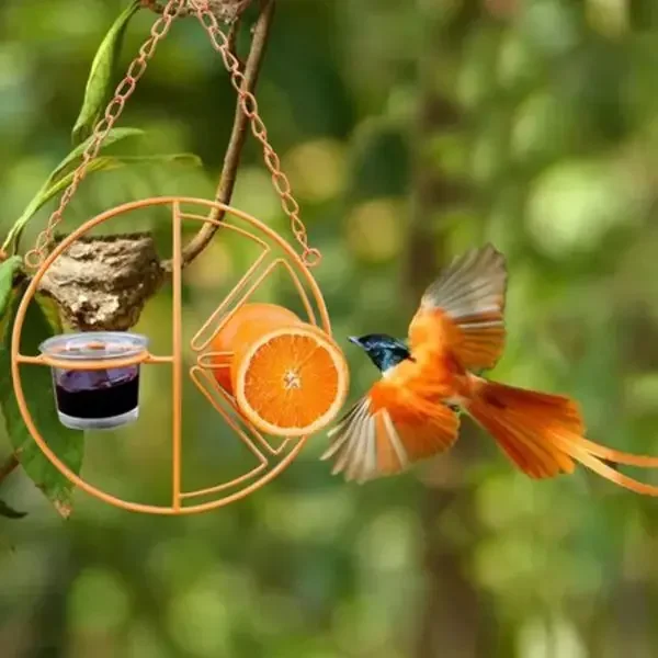 2 In 1 Hummingbird Oriole Feeder