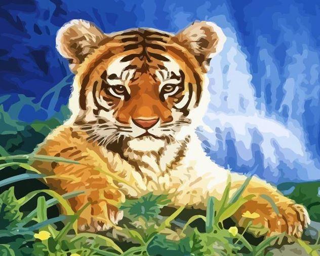 

Tiger Cub – Paint By Numbers - 40*50CM, 501 Original