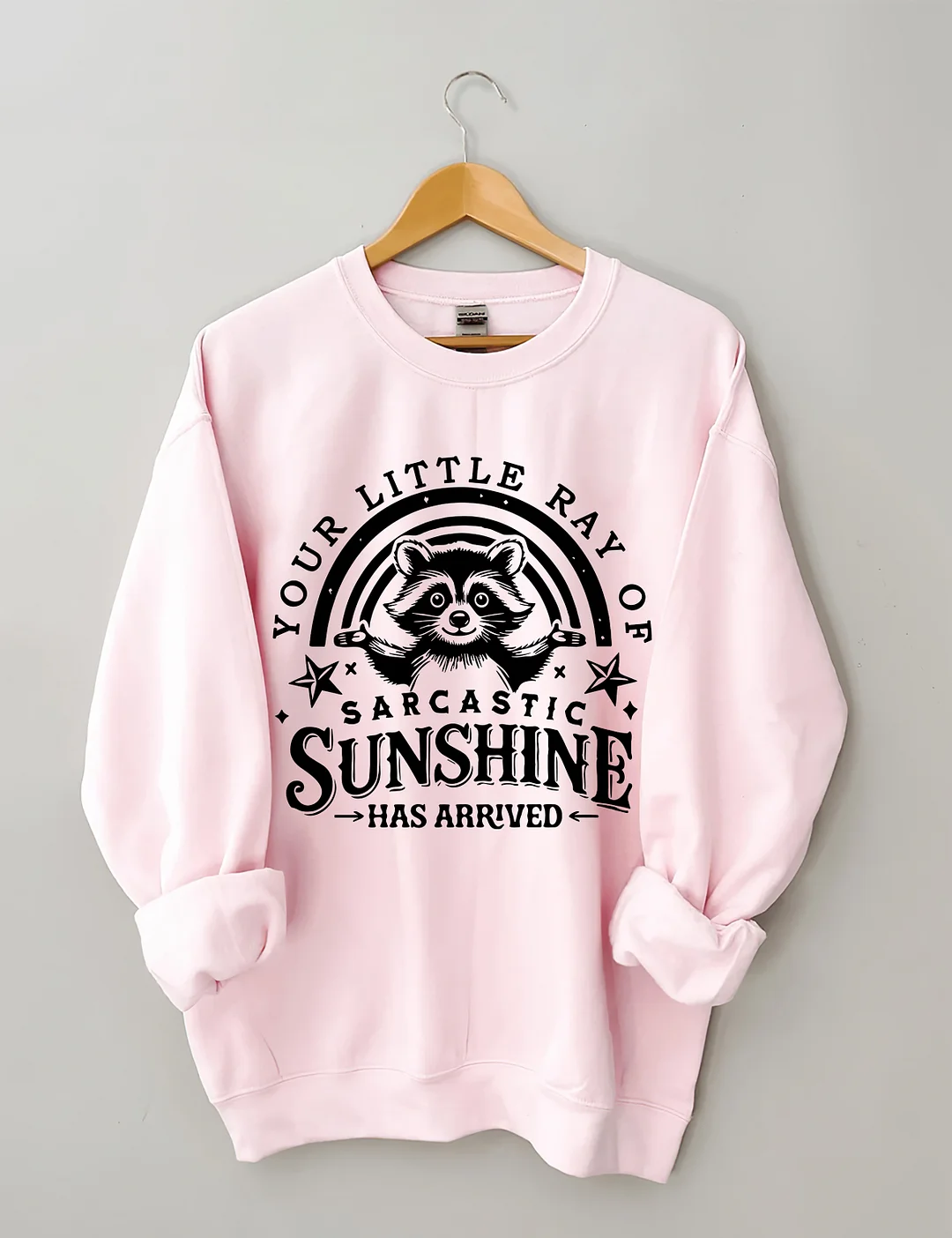 Your little Ray Of Sarcastic Sunshine Has arrived Sweatshirt