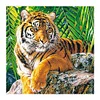 Tiger-11CT Stamped Cross Stitch-40*40cm
