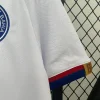 24/25 Bahia Soccer Jersey Home