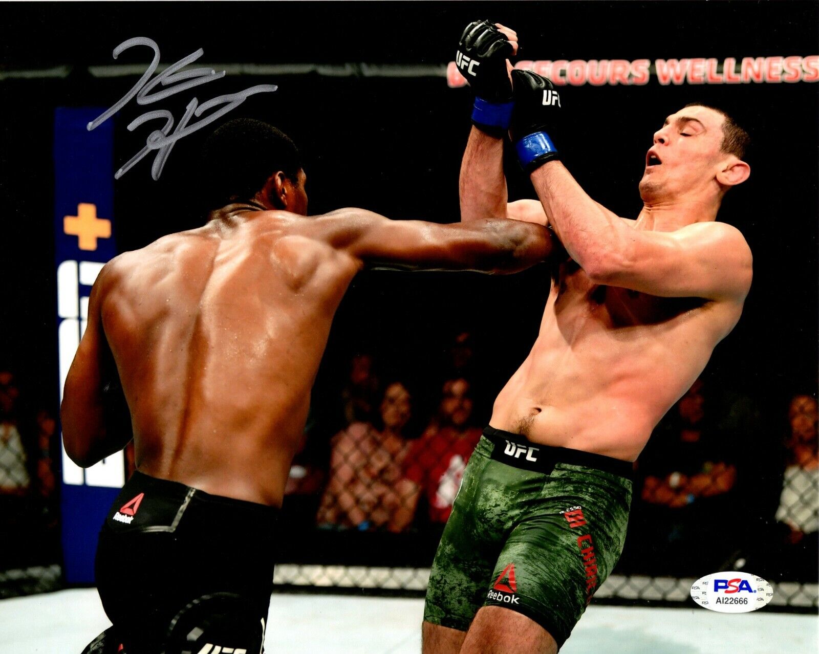 Kevin Holland autographed signed 8x10 Photo Poster painting UFC PSA COA Big Mouth Trailblazer