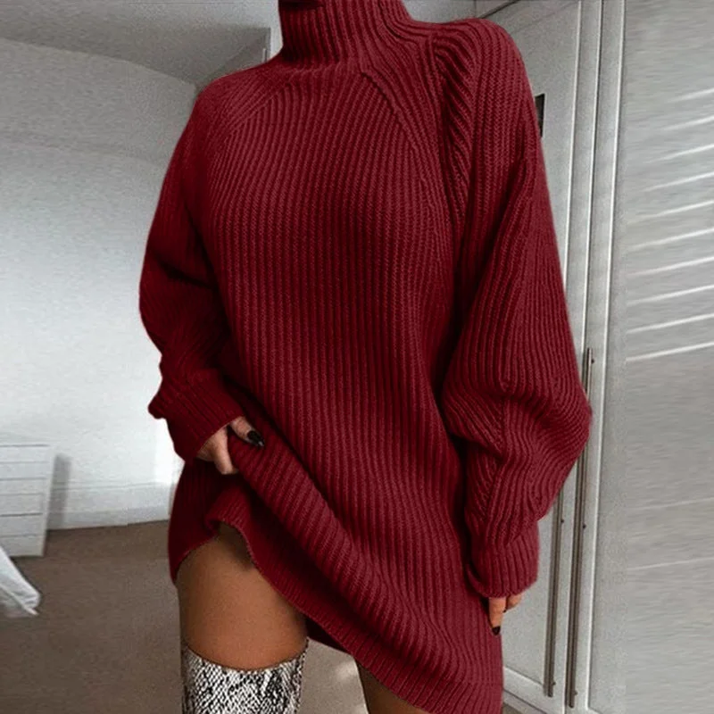 Women's Turtleneck Long Hooded Sweater
