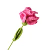 (Finished Product)Crochet Carnation Artificial Carnation Exquisite Aesthetic for Gift Home Office Decor