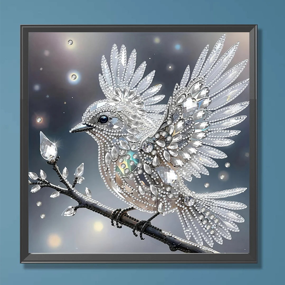 Hummingbird Special Shaped 5D DIY Partial Drill Diamond Painting Kit 30x30cm