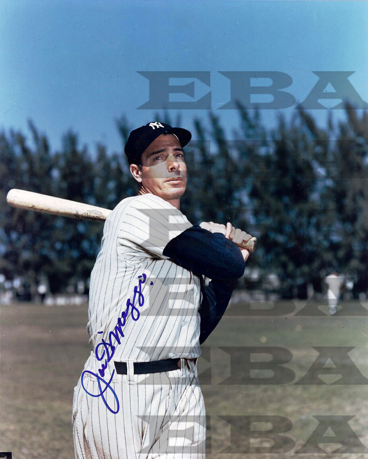 Joe DiMaggio Signed 8x10 autographed Photo Poster painting Reprint