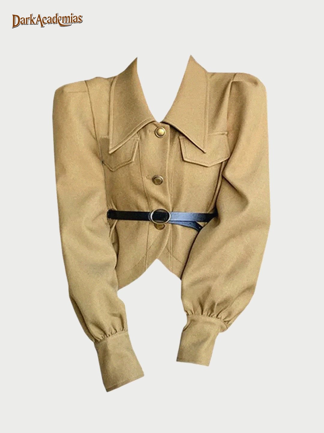Darkacademias Waist Ladies Top
