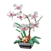 The Phalaenopsis Potted Plant