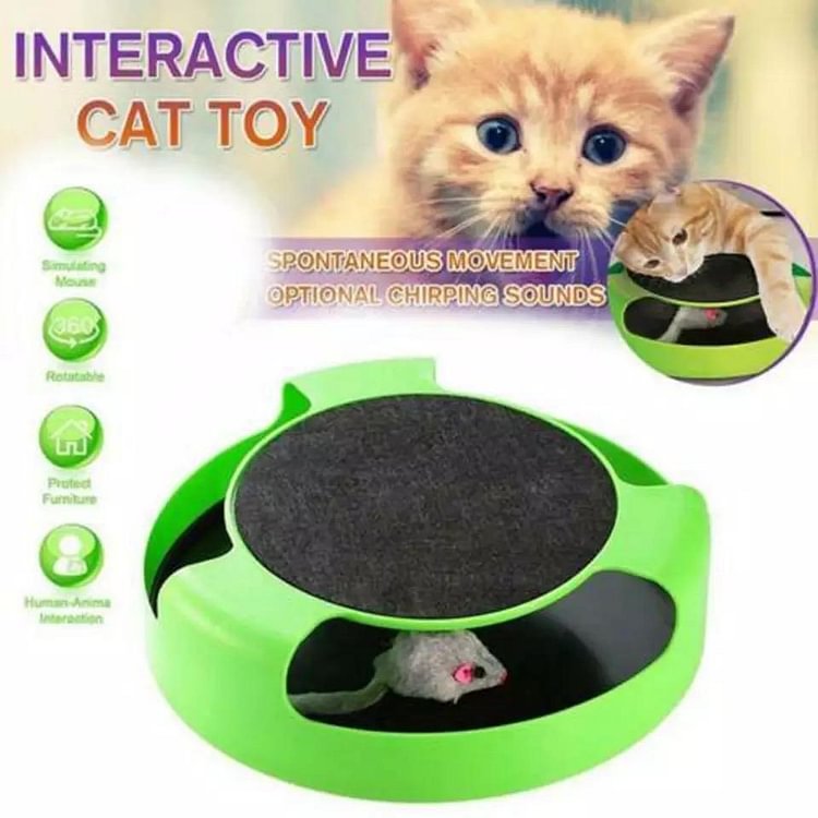 Catch The Mouse Interactive Cat Toy