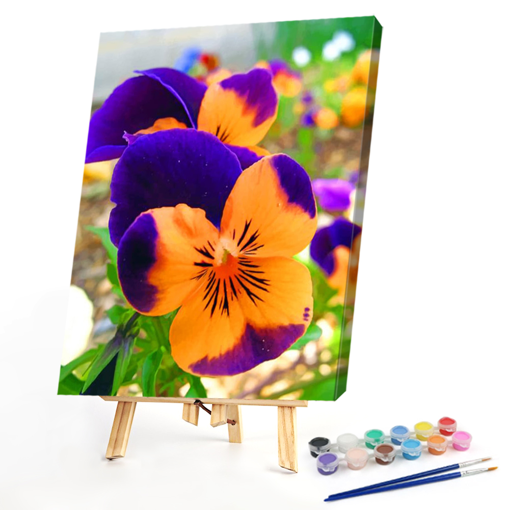 

40*50CM - Paint By Numbers - Orange Purple Flowers, 501 Original
