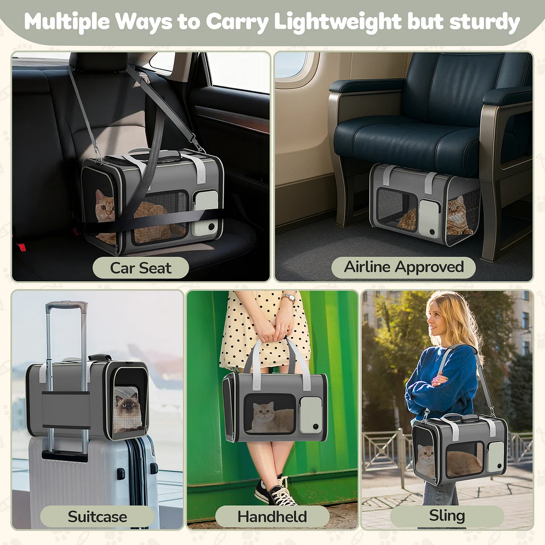 BEBANG Cat Carrier, Soft Sided Cat Carrier Large for Small Cats and Puppy